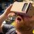 Google Cardboard – The £3 Oculus Rift