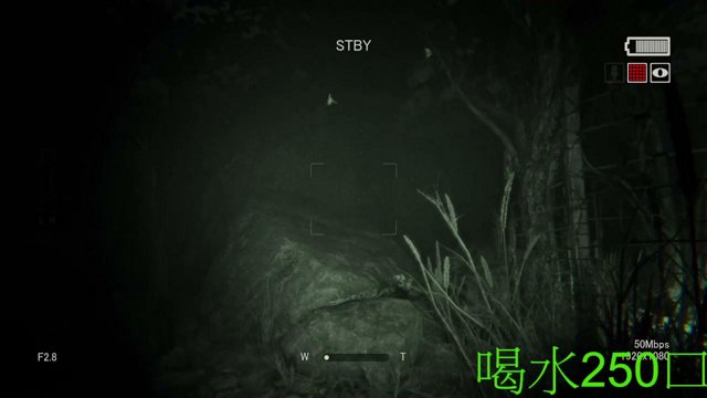 專情先生 live stream