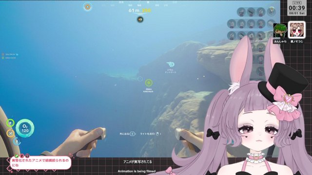 鳳梨なぷる live stream