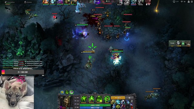 aceehon live stream