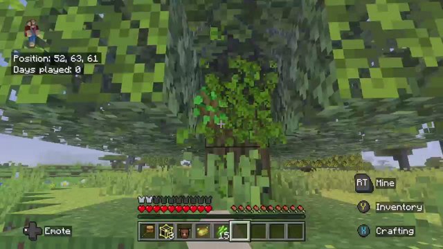 activdummy live stream