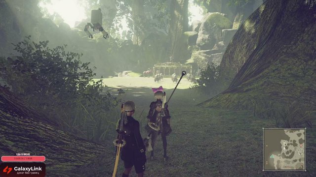 AniSunrise live stream