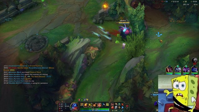 Aphromoo live stream