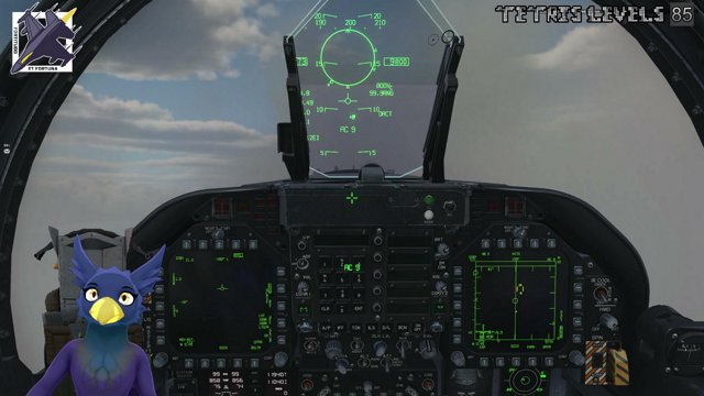 Aviancer live stream