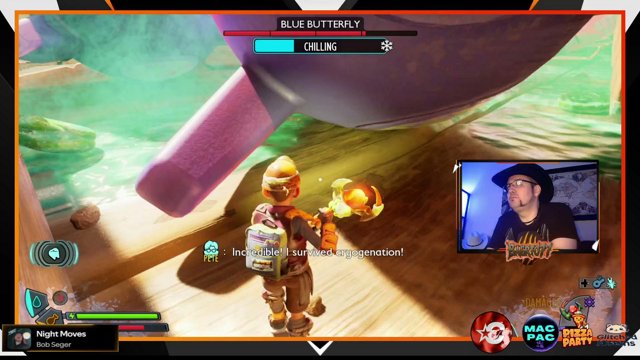 Baerto77 live stream