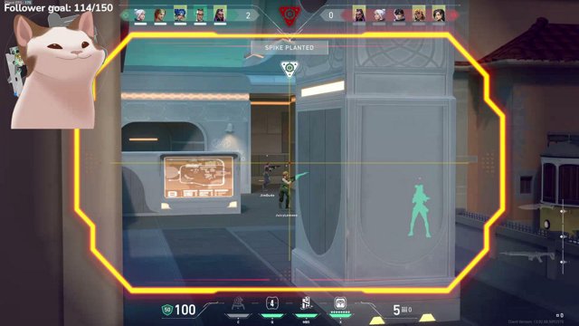 beanie_weani live stream