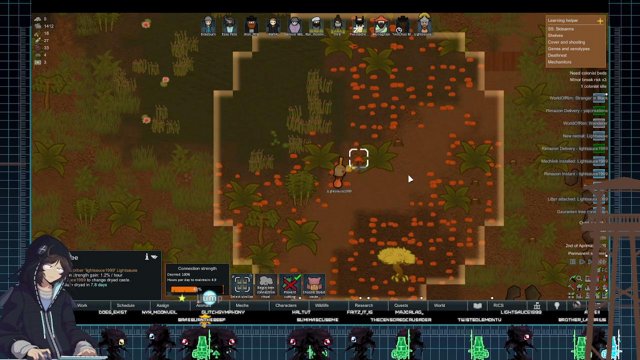 BraeburnTheBeef live stream