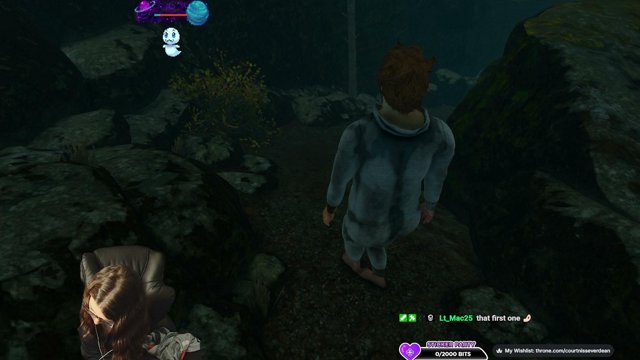 CourtnissEverdean live stream