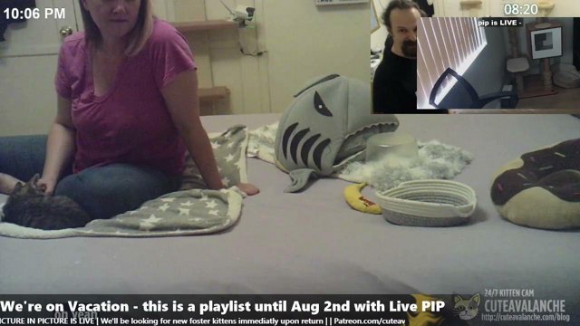 CuteAvalanche live stream
