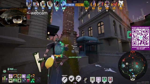 danielpelado1 live stream