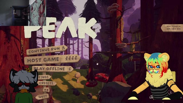 DelusionalSkips live stream