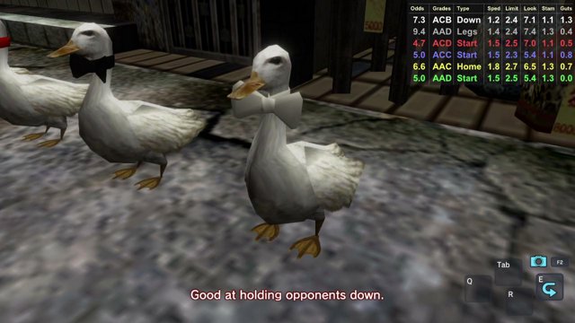 DuckRacing live stream
