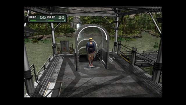 dunnets12 live stream