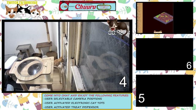 dunxyau live stream