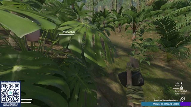 dupla_do_barulhozx live stream