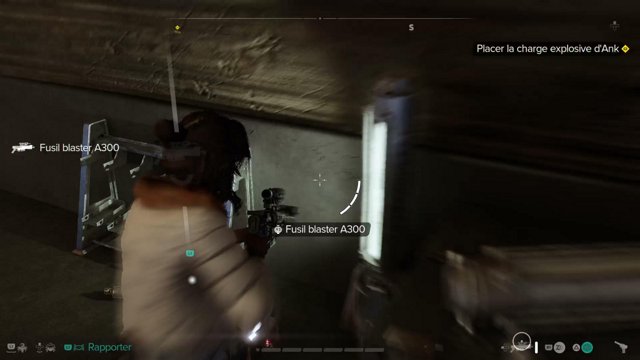 eagleeyesdu29 live stream