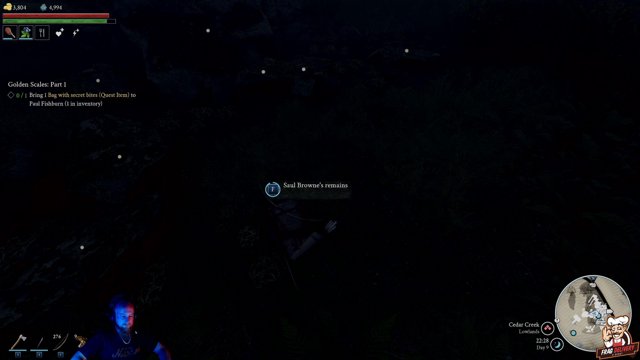 EngWalD live stream