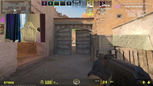 fisherin live stream