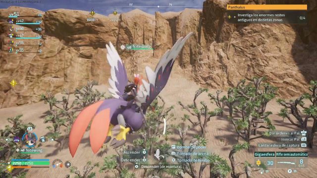 Ghxoryn live stream