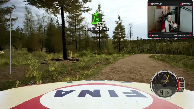 goForrestgo live stream