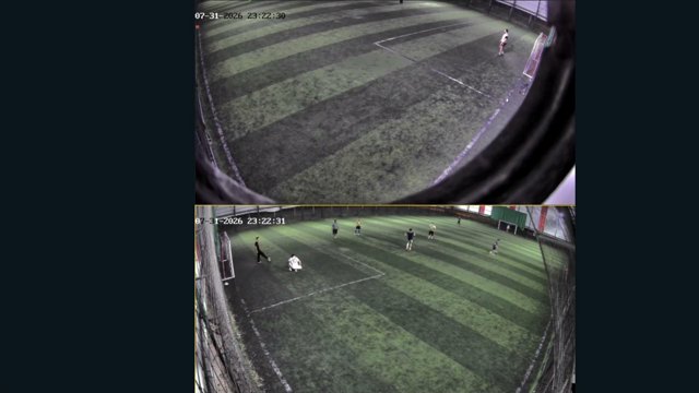 Halisaha live stream