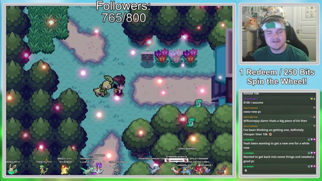 Hamstovitch live stream
