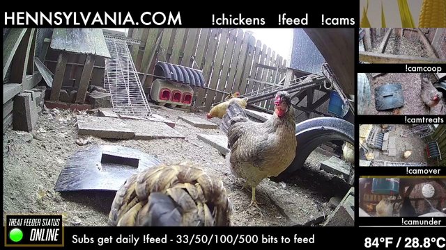 Hennsylvania live stream