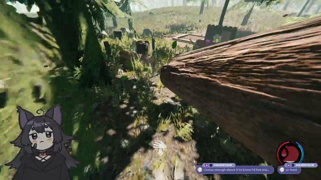hi_tuni live stream