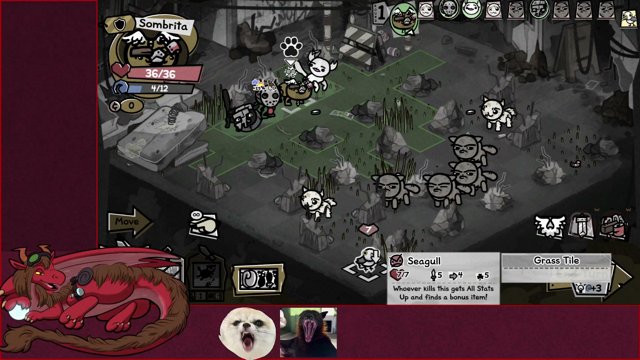 HorseDragonMD live stream