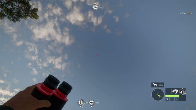hunterofthewild101 live stream