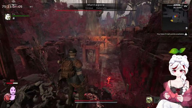 iroze1 live stream