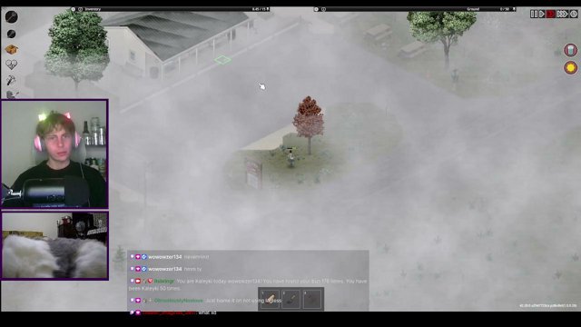 itsbringr live stream