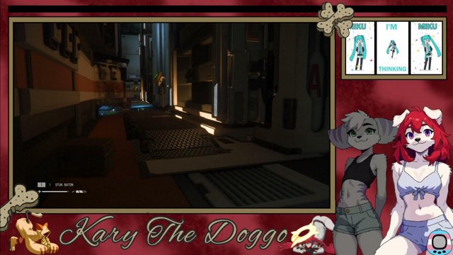KaryTheDoggo live stream