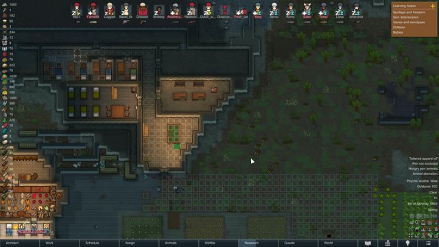 Kiwo live stream