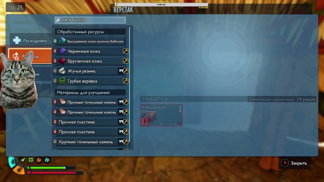KORSACH live stream