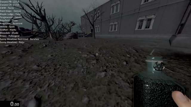 leonaur247 live stream