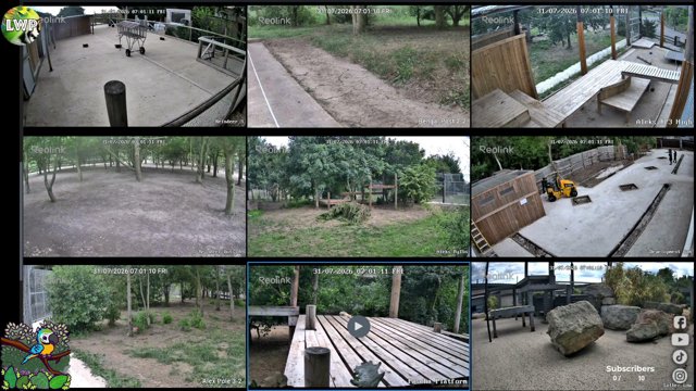 lincolnshirewildlifepark live stream