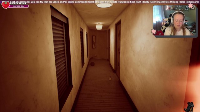 logsndogs live stream