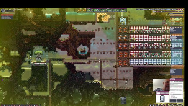 Maintyper live stream