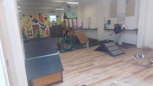 MarthasGardenSeattle live stream