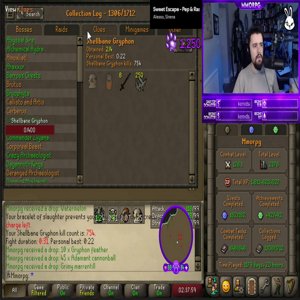 Mmorpg