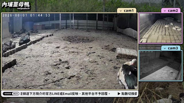 內埔薑母鴨 live stream
