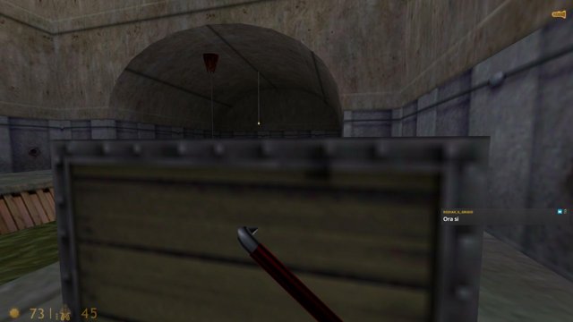 NidaleeEn live stream