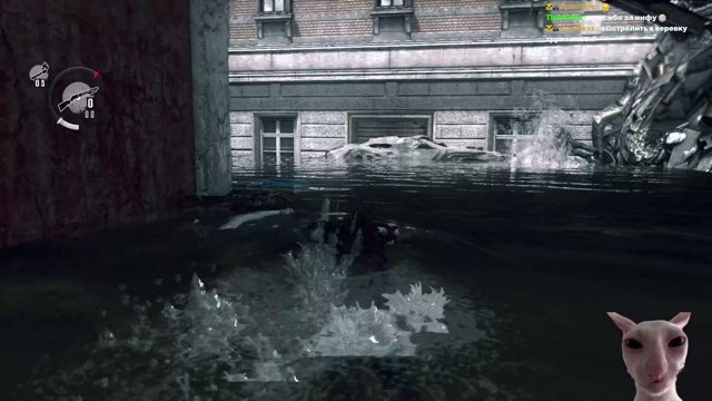 notseriousdan live stream