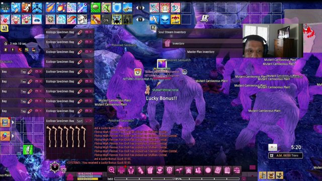 okqtpai live stream