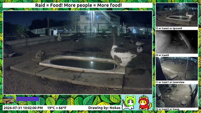 OnePortugueseFarm live stream