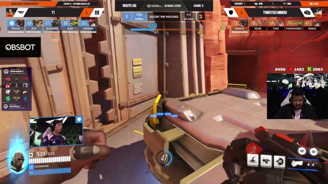 owBRAIN live stream