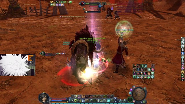 pandakakboss live stream