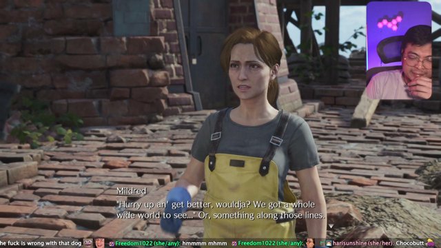 Permaugh live stream