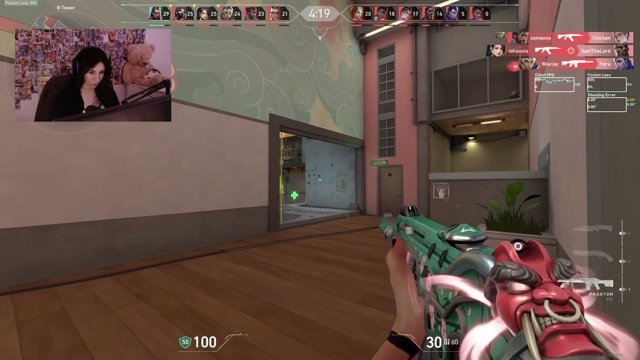 PeterBarkerr live stream